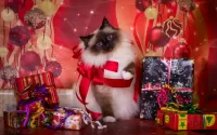 Пазл Подарочки для кошки