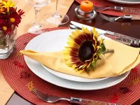 Zagadka Sunflower on the plate