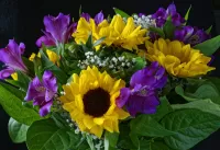 Bulmaca Sunflower in the bouquet