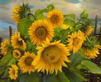 パズル Sunflowers