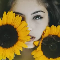 Puzzle sunflowers