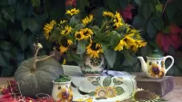 Zagadka sunflowers