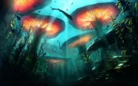 Zagadka Underwater mushrooms