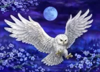 Puzzle Flying owls