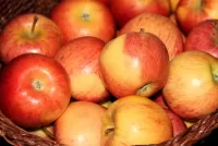 Bulmaca Full basket of apples