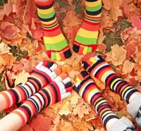 Jigsaw Puzzle Striped socks