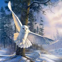 Слагалица Owl flight