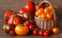 Zagadka Pomidori