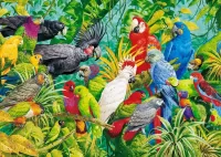 パズル parrots
