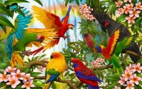 Quebra-cabeça Parrots 3D