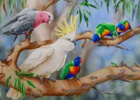 Puzzle Parrots and frogs