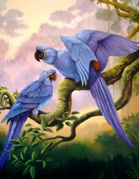 Bulmaca Parrots on a branch
