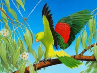 Quebra-cabeça Parrot on a branch