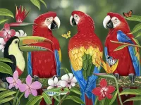 Puzzle Parrots