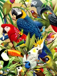 Puzzle Parrot