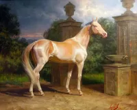 Пазл Породистая лошадь