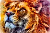 パズル Portrait of a lion