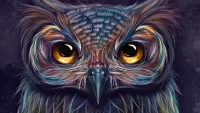 Puzzle Portrait of owls
