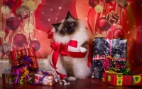 Слагалица Festive cat