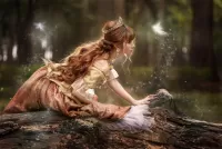 Puzzle Princess and fairies