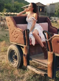 Слагалица The Princess in the carriage