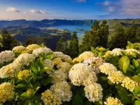 Jigsaw Puzzle Portugal nature