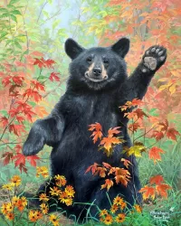 Quebra-cabeça friendly bear