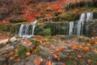Jigsaw Puzzle About autumn