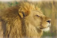 パズル Profile of a lion