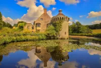 Jigsaw Puzzle Pond at the castle