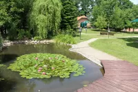 Rätsel Pond with lotuses
