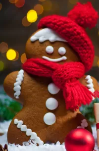 Quebra-cabeça Gingerbread warmed up