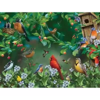 Puzzle Bird gatherings