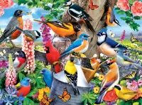 Puzzle bird gatherings