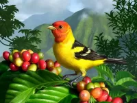 Rompecabezas Birdie and berries