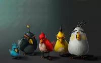 Slagalica Birds