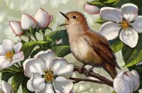 Puzzle Bird and flowers