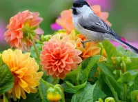 Пазл Птица и цветы 