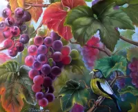 Jigsaw Puzzle Bird and grape