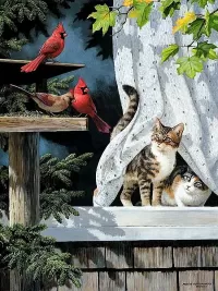 Пазл Птицы и кошки