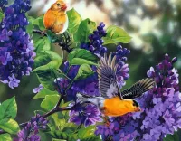 Jigsaw Puzzle Birds and lilac