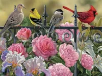 Jigsaw Puzzle Birds and flowers