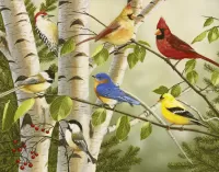 Puzzle Birds on the tree