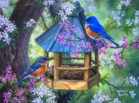 Jigsaw Puzzle Birds at the feeder