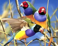 Quebra-cabeça Birds on a branch