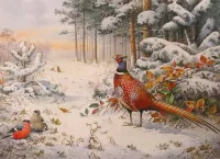 Puzzle Birds in the forest