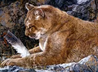 Rompicapo Puma and feather