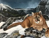 Jigsaw Puzzle Puma in the mountains