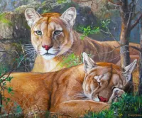 Jigsaw Puzzle Cougars
