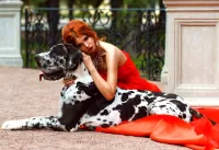 Jigsaw Puzzle Dog and girl